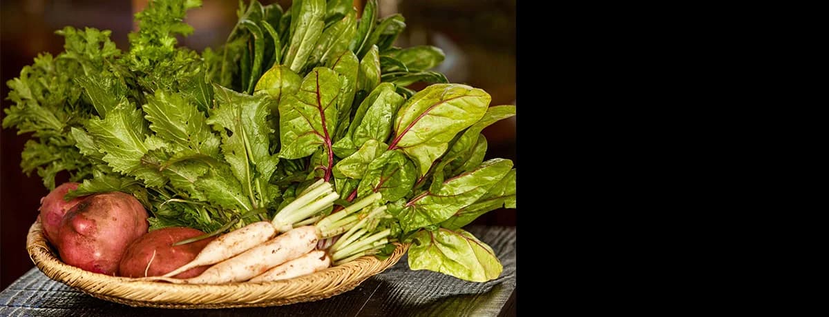 ILOLI — photographie de cuisine, plat non identifié