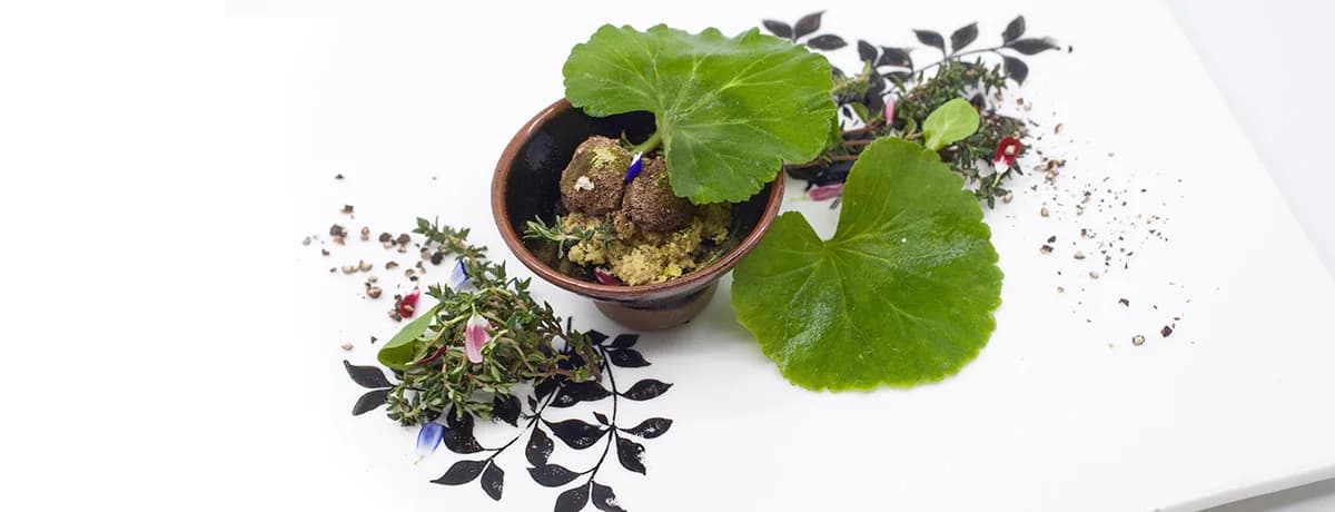 ILOLI — photographie de cuisine, plat non identifié