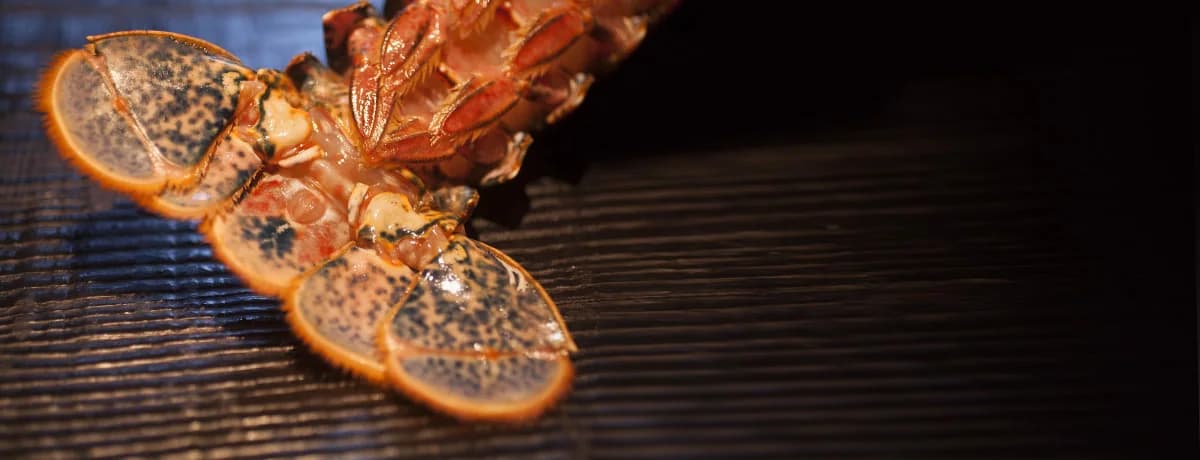 ILOLI — photographie de cuisine, plat non identifié